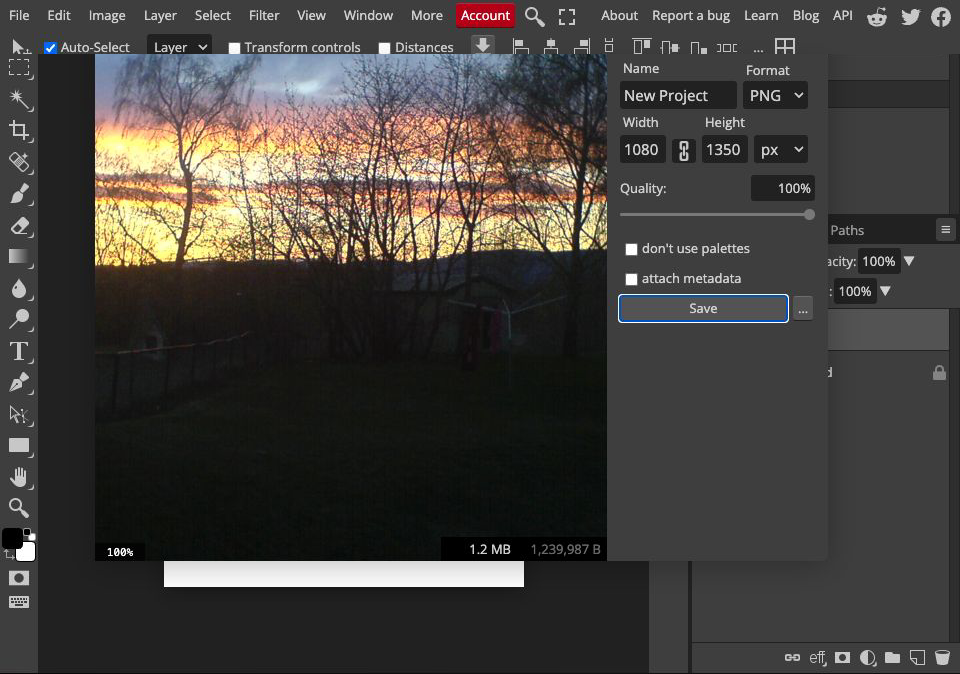 English Photopea Save for web dialog showing PNG export width 1080 and height 1350 over a portrait canvas with the full landscape visible.