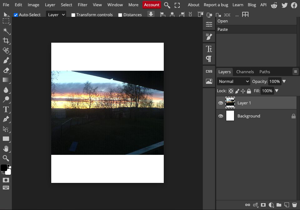 English Photopea editor showing the same complete landscape inside a 4:5 portrait canvas with larger space above and below.